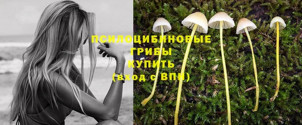 spice Абаза
