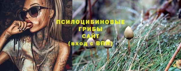 дурь Абинск