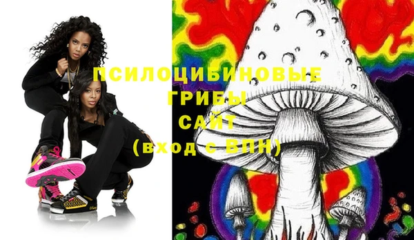 MESCALINE Осинники