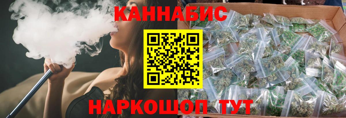Конопля конопля Урус-Мартан